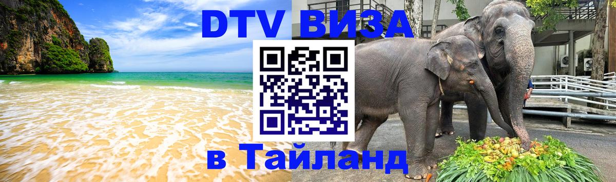 Оформление DTV визы под ключ: стоимость и тарифы, только загранпаспорт - 18.11.2025 